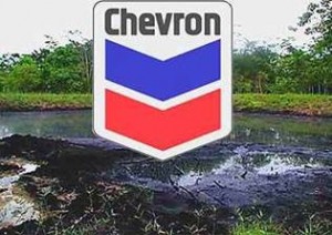 chevron1111