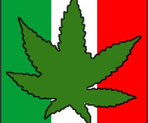 mex1