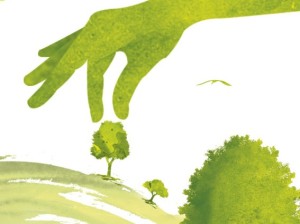 socioambiental_es