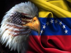 ven222