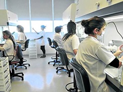 Mayoria-femenina-cientificas