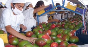 agroperu
