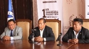 2954107_n_vir1