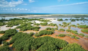 Bucan-de-Base-Humedales-PNJ-Peder_RBF40770-664x441