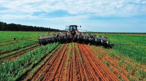 sectorprivadoagricola