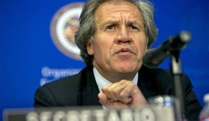 luisalmagro.jpg_1498382173