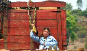 migracion