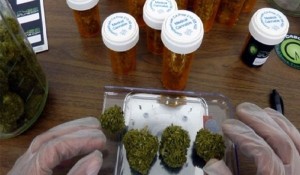 marihuana-medicinal-73009_600x315