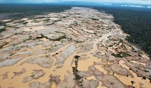 Aumentaron áreas deforestadas en regiones amazónicas