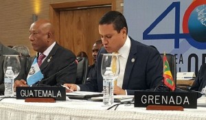 Ministro-del-Minex-OEA