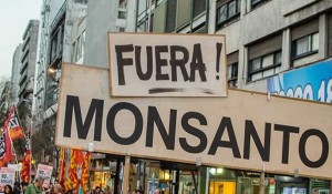 fuera-monsanto