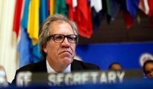 almagro.jpg_1984960474