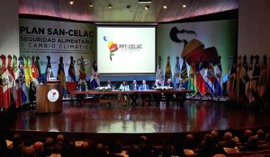 fotocelac_675