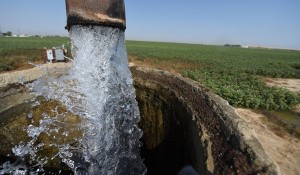 adecuado-conservacion-problemas-climatico-FotoAFP_MEDIMA20160913_0133_31