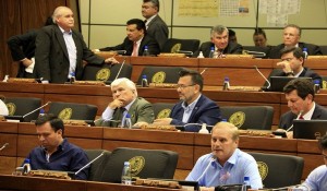 el-oficialismo-probara-en-la-fecha-si-cuenta-o-no-con-la-mayoria-aplanadora-y-la-oposicion-pulseara-de-nuevo-a-cartes-probando-nuevamente-s_890_573_1421427