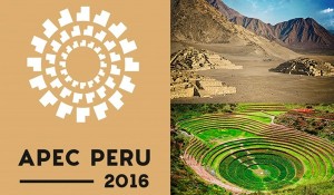 01-02-2016-logo-apec
