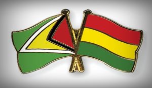 Flag-Pins-Guyana-Bolivia