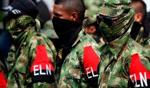 eln