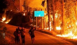 francisco-velasquez-gago-PER-Incendios-forestales-consumen-casi-90-000-hect-reas-en-Chile