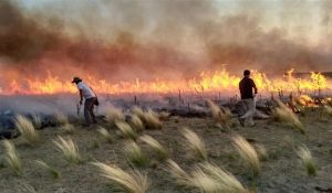 incendio-2337489w640