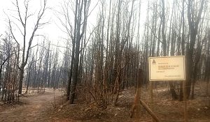 file_20170126091943