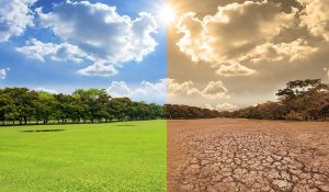 larger_globalwarming