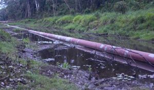Derrame de petróleo