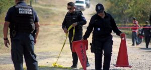 México + asesinatos