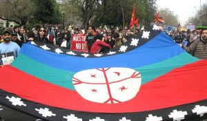 bandera mapuche en 11 9 2010
