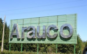 Arauco