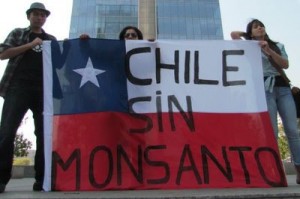 chile monsanto