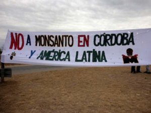 fuera-monsanto1111