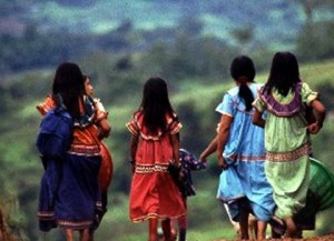 indig