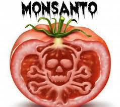 monsanto2