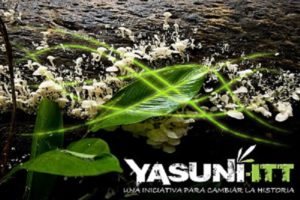 yasuni