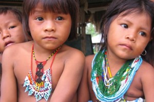indig mex
