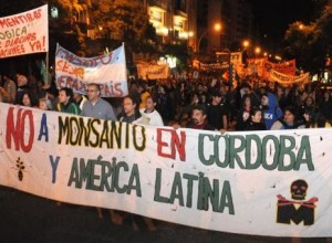 MONSANTO-FINALllll