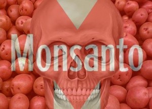 monsantoooo