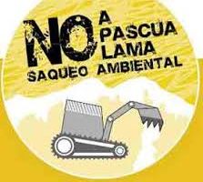 plama22222