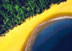brasil1111