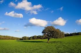 images (3)