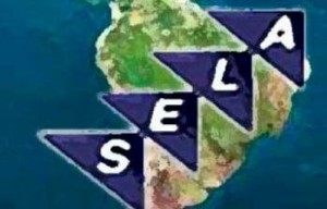 sela33333