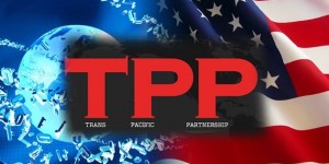 tpp22222