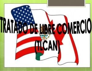 TLCANNN