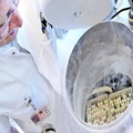 especialista-criopreservacion-laboratorio-Amsterdam-AFP_CLAIMA20141016_0001_27