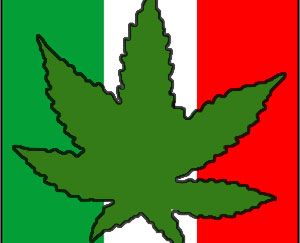 mex2