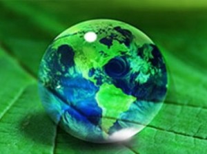 medioambiente