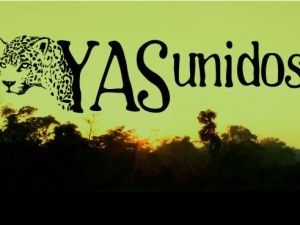Yasunidos-solo