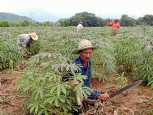 censo_nacional_agropecuario
