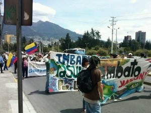yasunidos-llegan-al-cne-con-mas-de-50-cajas-de-firmas-20140412124750-6ee4b459e26d8b611bc1c4bb6b50726f